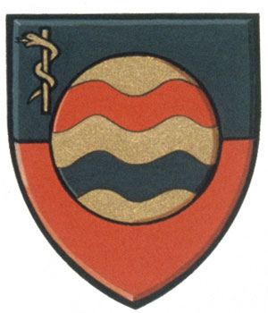 Differenced Arms for Désirée Barbara Ann Zaharescu, daughter of Barbara Zaharescu