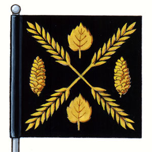 Flag of Town of High Level