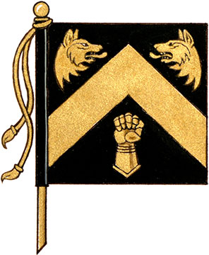 Drapeau de Hafiz Feezer Kassam