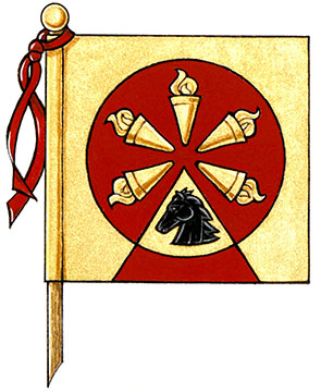 Flag of Ramanbir Singh Nayyar