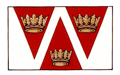 Flag of the Village of Wellington