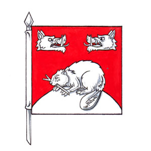 Flag of Robert Patrick Ryan