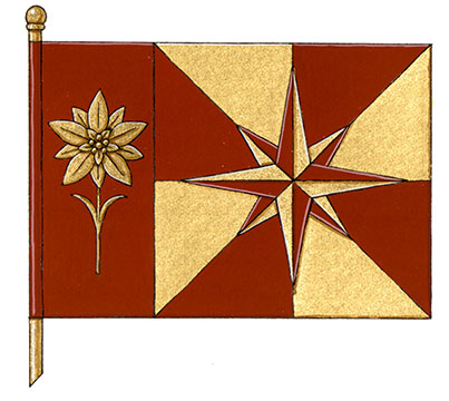 Drapeau de Christian Stenner