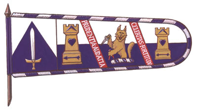 Drapeau de l'Academy of European Medieval Martial Arts