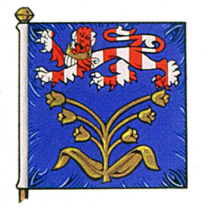 Flag of Rean Everton Egerton Meyer