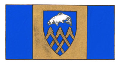 Flag of the Town of Lake Cowichan