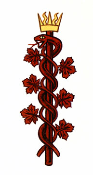 Insigne de l'Association médicale canadienne