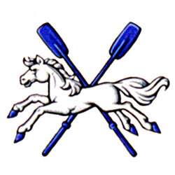 Insigne de The Royal St. John's Regatta Committee