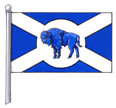 Flag of the Rural Municipality of St. Andrews