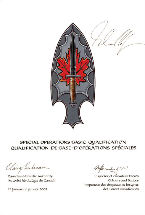 Letters patent approving the Badge of the Special Operations Basic Qualification