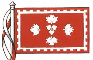 Flag of the National Club