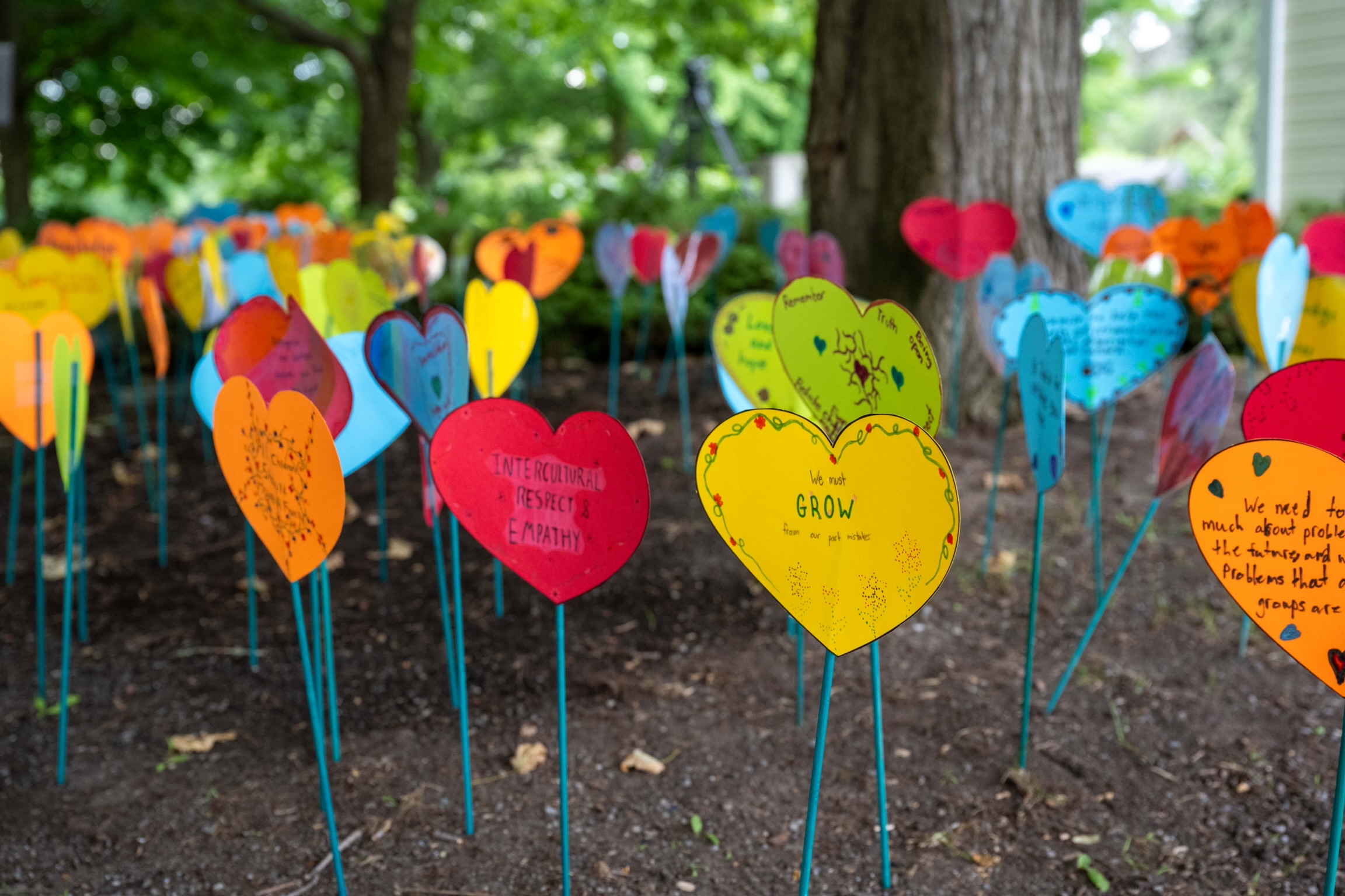 Photo of cardboard hearts, placed in the garden. They all have various positive messages.