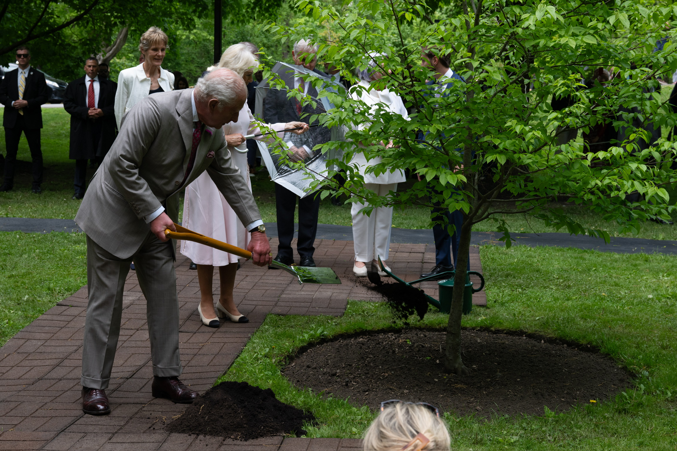 His Majesty King Charles III shoveling dirt at the base of a tree.