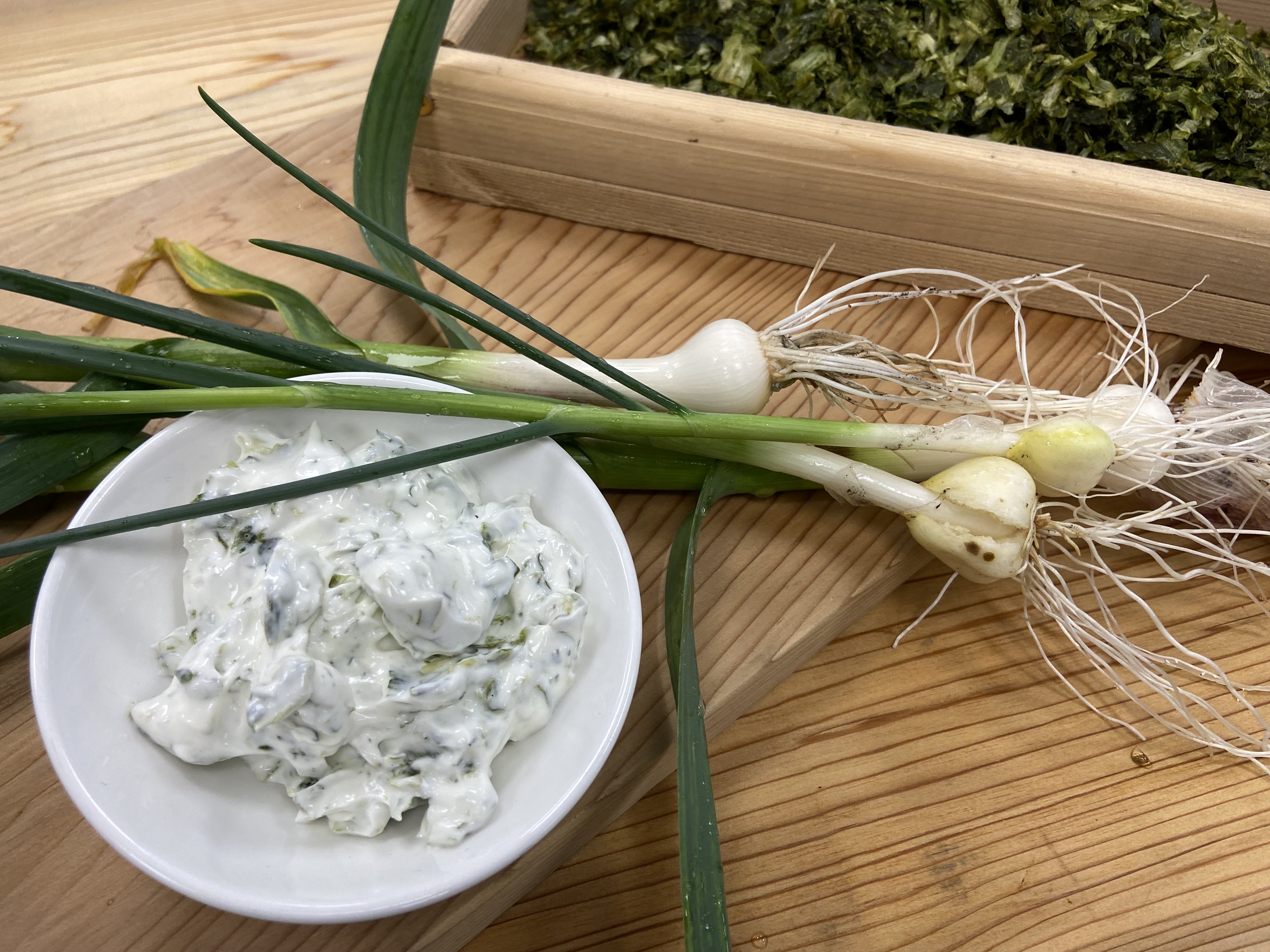 sour_cream_and_scallion_recipe.jpg