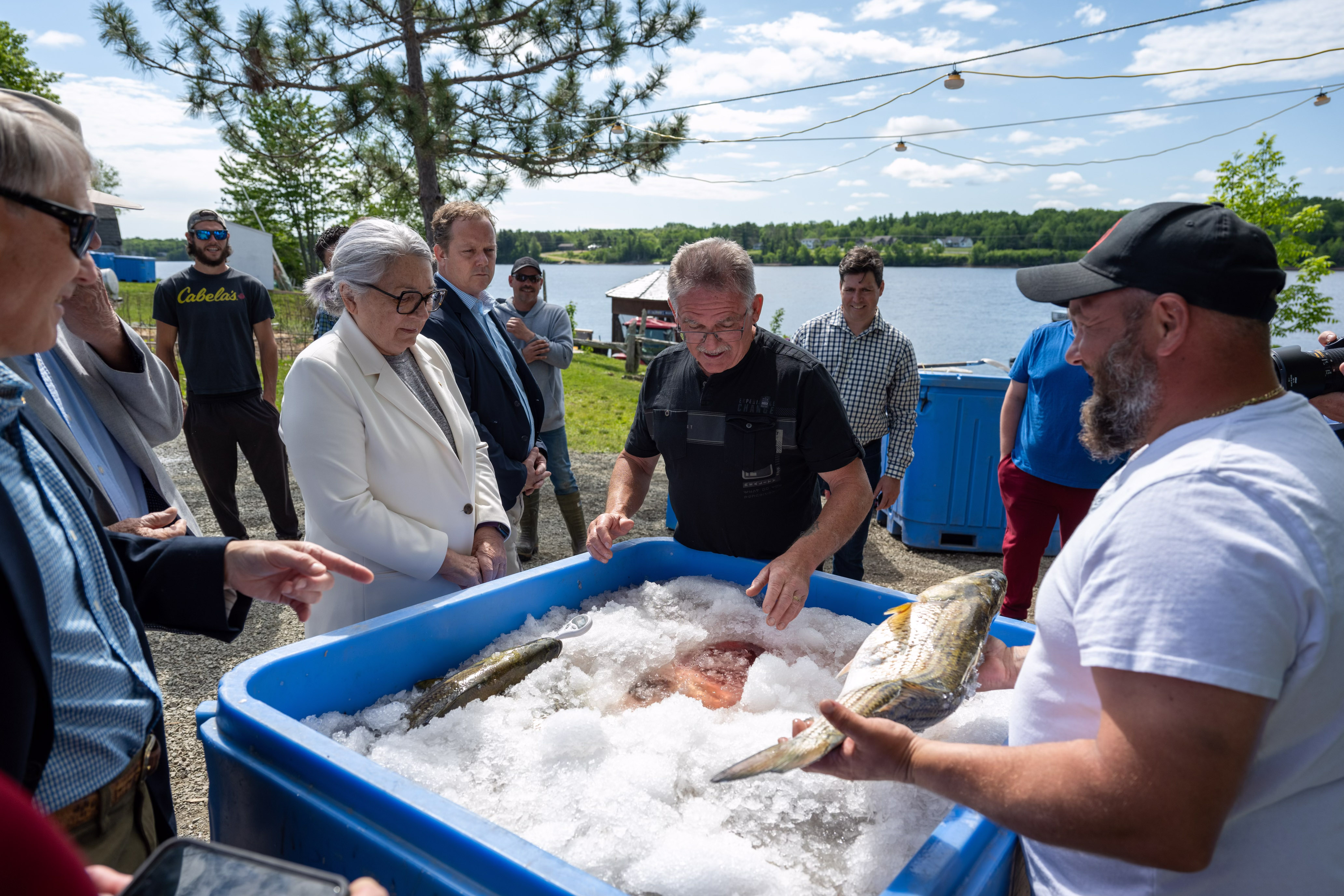 La gouverneure générale Simon se tient à l'extérieur et regarde à l'intérieur d'un grand bac bleu rempli de glace et de poisson. Plusieurs personnes sont présentes.