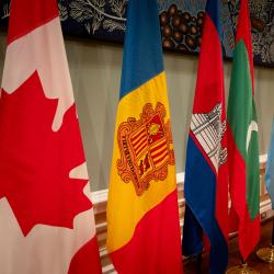 Row of flags representing countries of ambassadors and high commissioners presenting their letters of credence.