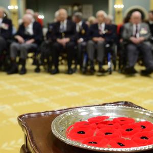 Campagne nationale du Coquelicot de 2016