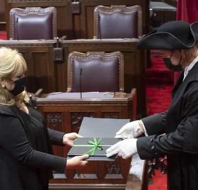 Un homme et une femme sont tous deux habillés en noir et portent des masques. Ils se font face et tiennent tous deux un porte-document avec un nœud vert. L'homme porte des gants blancs et un chapeau noir.
