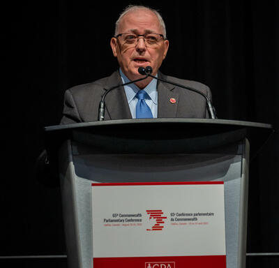 L’honorable Georges Furey, président du Sénat du Canada, est au micro sur l’estrade.