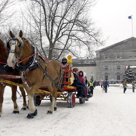 Winter Celebration 2008 at Rideau Hall