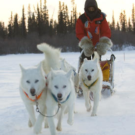 Visit to Tuktoyaktuk