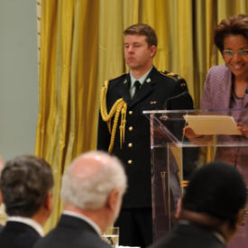 Presentation of Credentials at Rideau Hall