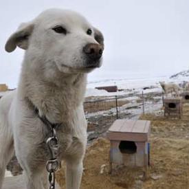 VISITE DANS LE NORD CANADIEN - Visite guidée de Rankin Inlet