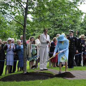 Plantation d'un arbre - Tournée Royale 2010