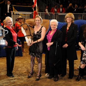 Royal Agricultural Winter Fair