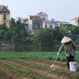 State Visit to the Socialist Republic of Vietnam - Day 2