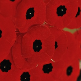 Campagne nationale du Coquelicot de 2012