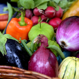 Savour Fall at Rideau Hall