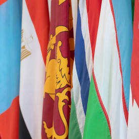 Les drapeaux de la Mongolie, de l'Égypte, du Sri Lanka, de la Gambie et de l'Ouzbékistan sont côte à côte.