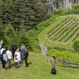 La gouverneure générale s'adressant à un petit groupe de personnes à l'extérieur des vignobles du Domaine des Salanges, des vignes vertes en arrière-plan.