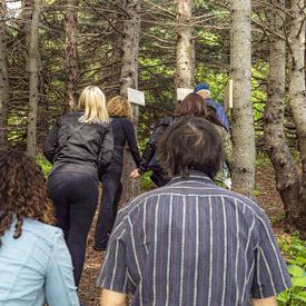 La gouverneure générale et un petit groupe s'aventurent dans les bois pour observer les arbres marqués du Verger.