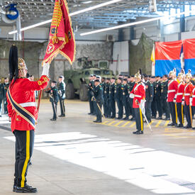 Side view of a military member wearing a red uniform with white gloves and a golden helmet, carrying a flag on a flagpole, in front of a guard of honour.