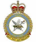 Badge of the 2nd Tactical Aviation Wing Badge of the 2nd Tactical Aviation Wing