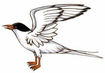 Insigne du Richelieu International Insigne du Richelieu International