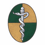 Insigne de La Fédération des ordres des médecins du Canada Insigne de La Fédération des ordres des médecins du Canada