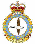 Badge of the 408 Tactical Helicopter Squadron
