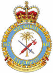 Insigne du 417e Escadron de soutien au combat