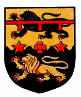 Differenced Arms for Kurtis Wayne Harvey, grandson of James William Rourke