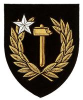 Armoiries brisées de Pierre-Frédérick Duret, fils de Louise Martel
