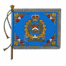 Drapeau du London Police Service