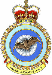 Badge of 1 Wing