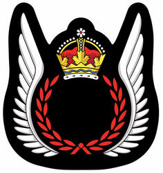 Insigne des Qualifications de l’équipage de vol