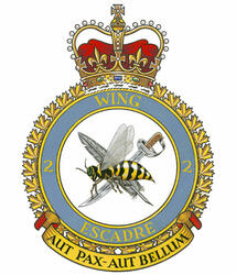 Badge of the 2nd Tactical Aviation Wing Badge of the 2nd Tactical Aviation Wing