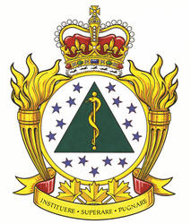 Insigne de l'École de survie et de médecine de l'air des Forces canadiennes