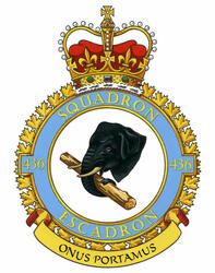 Badge of the 436 Transport Squadron