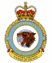 Badge of the 439 Combat Support Squadron